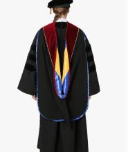 PhD hood back