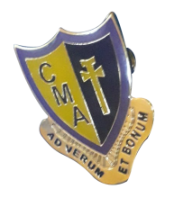 Pin
