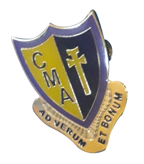 Pin